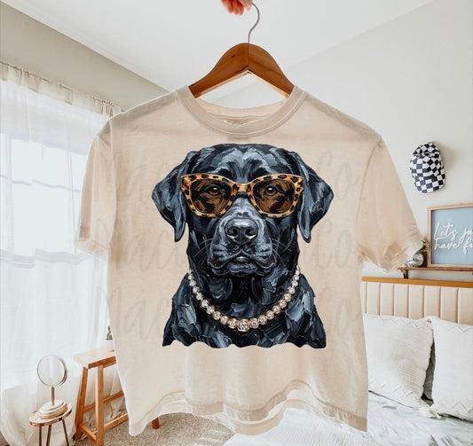 Glam black lab