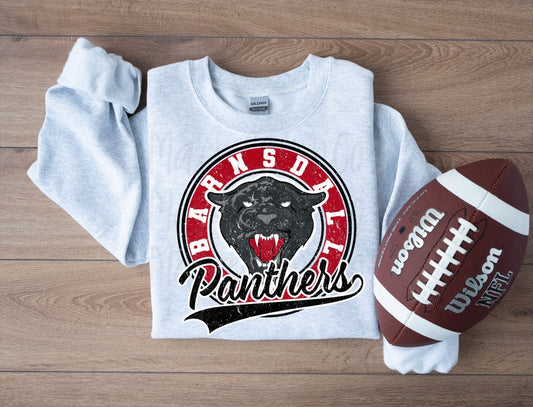 Bdall panthers